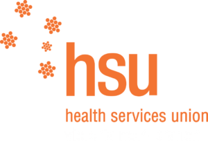 MSAV VPA AHP HSU other logo